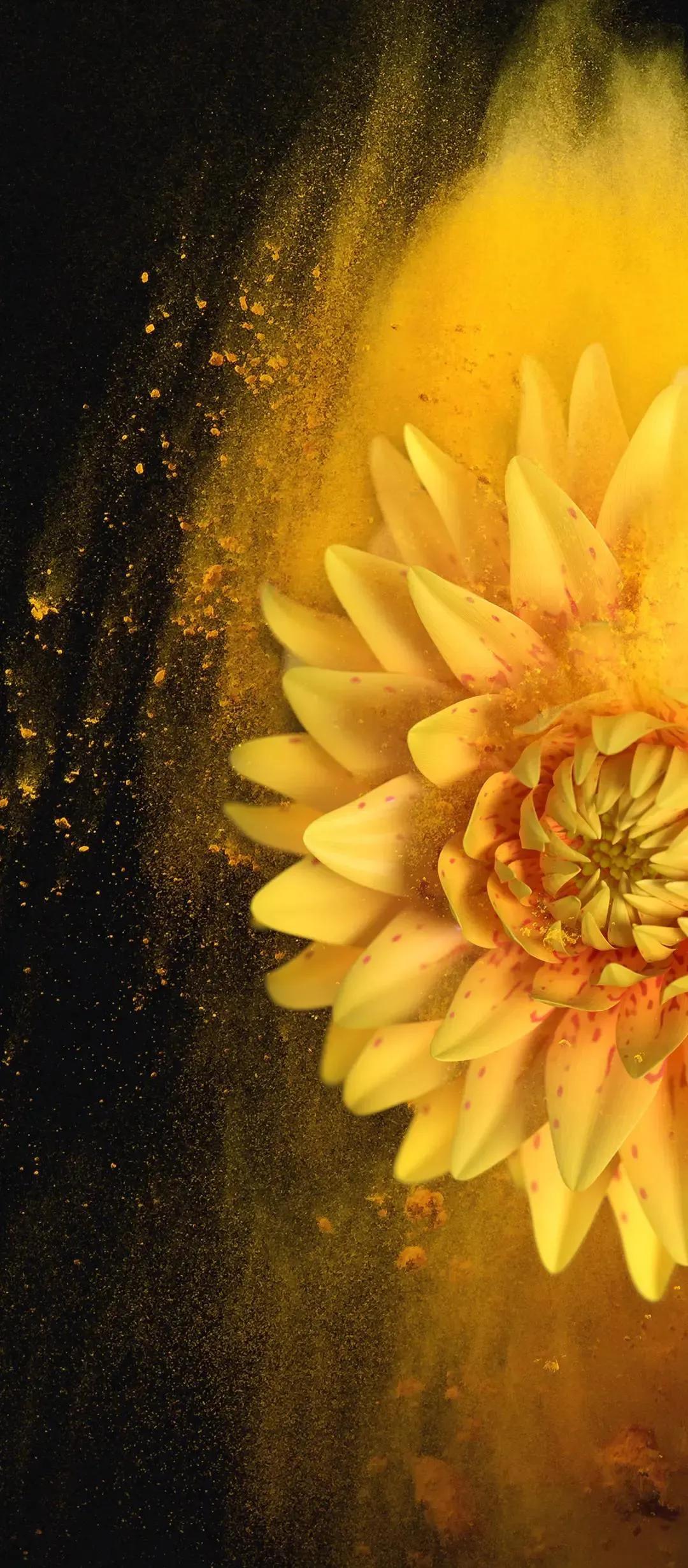 高清全面屏手机壁纸,米奇壁纸高清全面屏