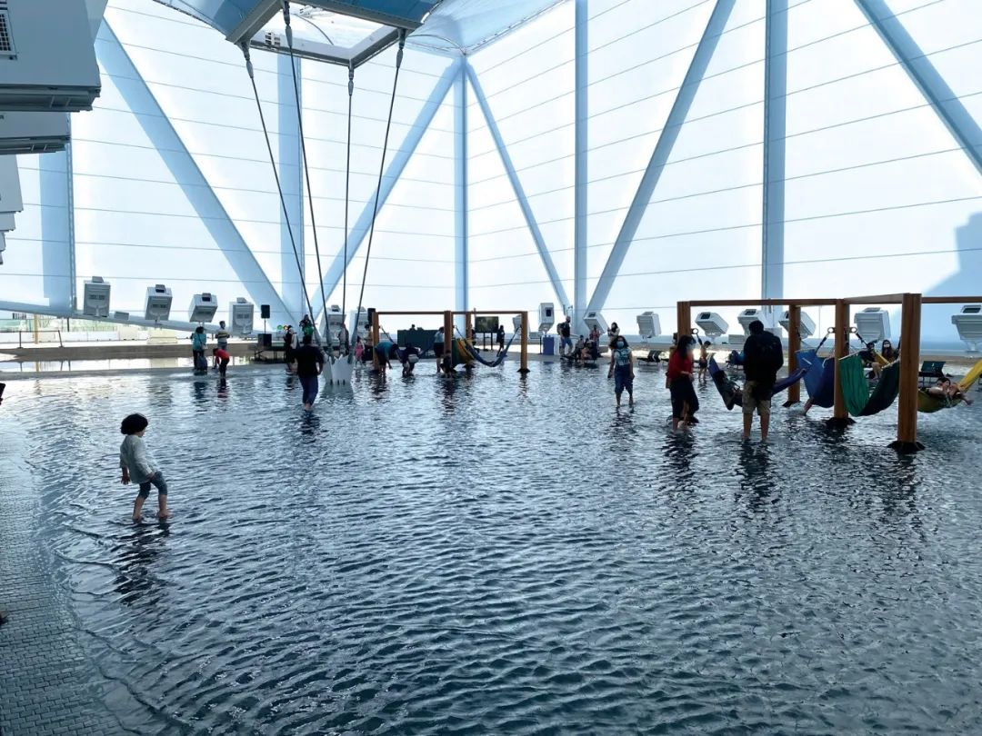 迪拜世博会中国馆复兴号,迪拜世博会彩绘飞机