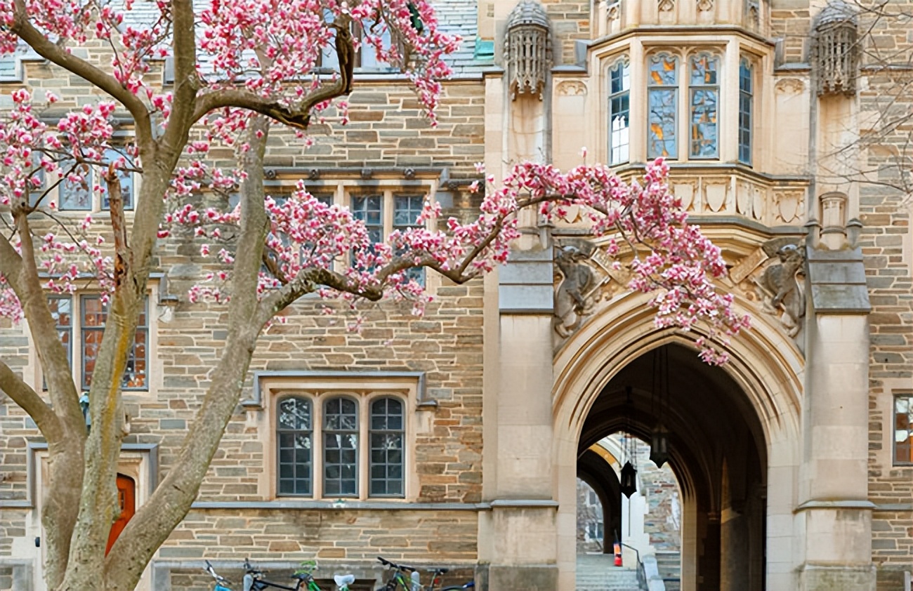 普林斯顿大学美国私立研究型大学,美国普林斯顿申请结果