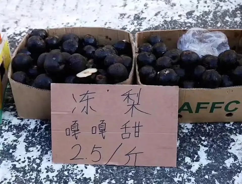 抗疫中药获得成功利好红日吗,抗疫神药麻黄