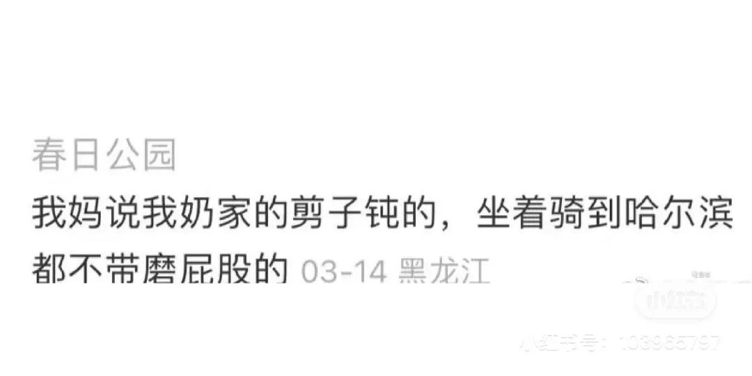 搞笑图片哈哈哈毫无违和感,让你笑出腹肌的搞笑图片第6期