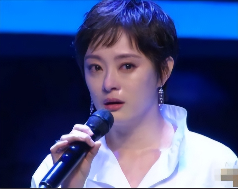 孙俪有几套别墅,孙俪个人资产有多少