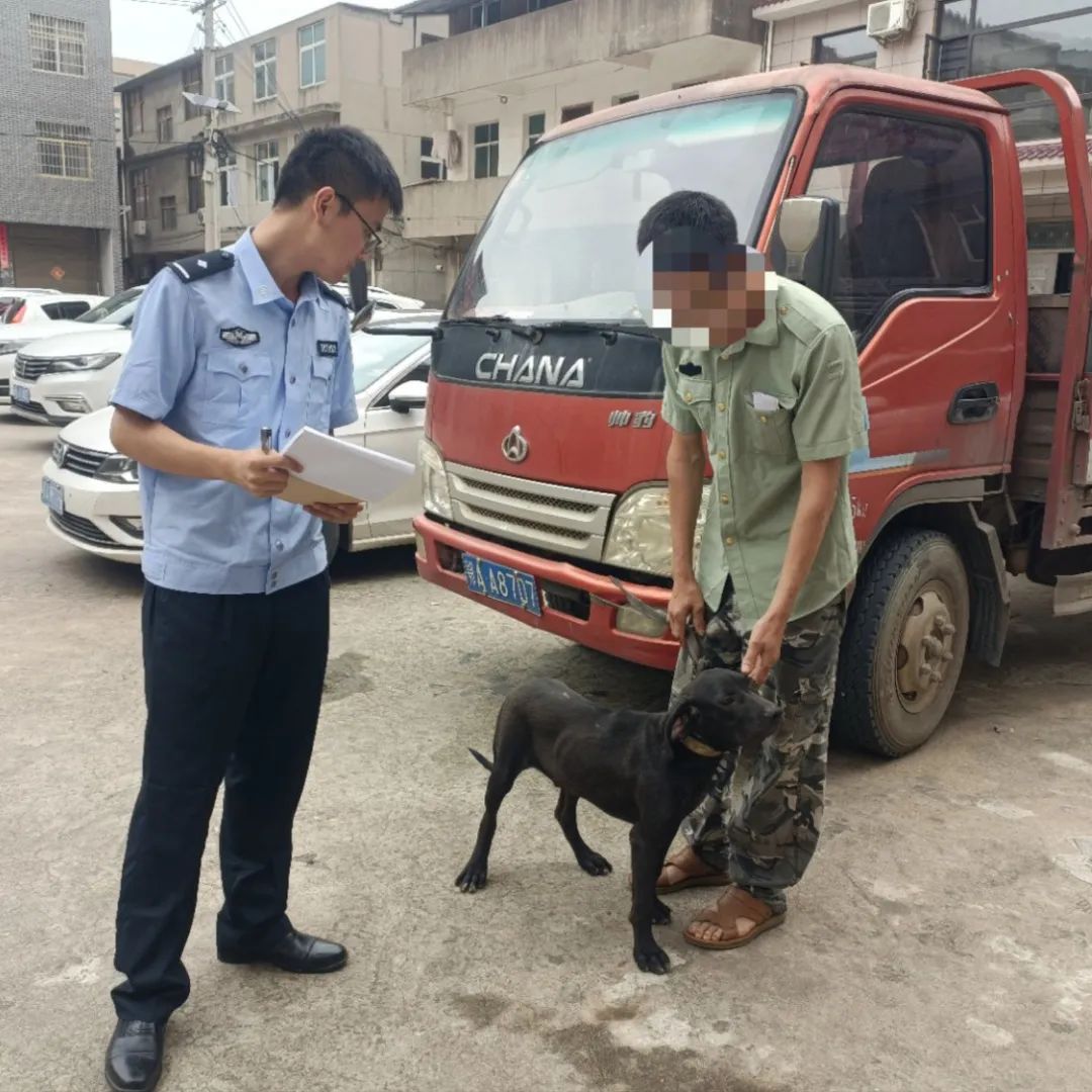 文明城市因不文明养犬被处罚,抚顺整治不文明养犬