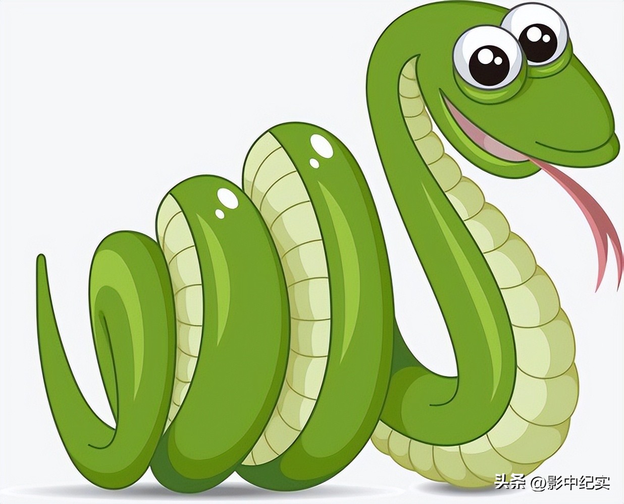 96年海南巨蟒报恩是真实的事吗,96年海南巨蟒为报恩甘愿当保姆