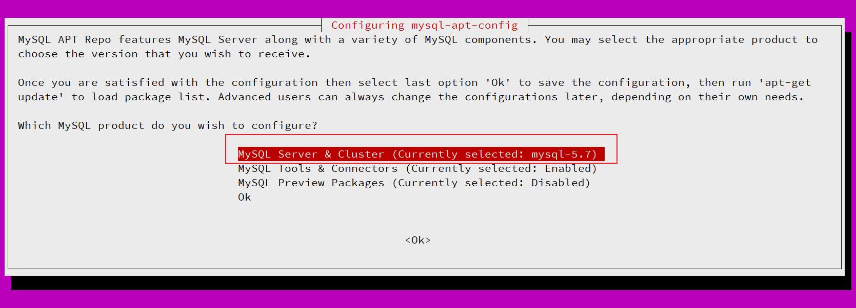 dns初学者教程免费,dns项目详细讲解