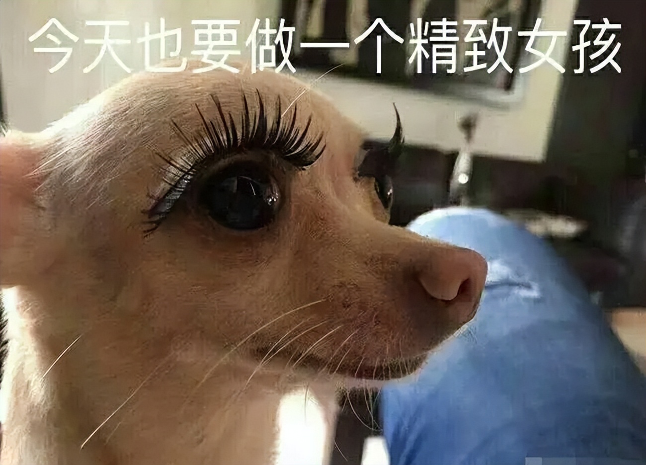 鄙视链最底端王者荣耀,鄙视链顶端和底端