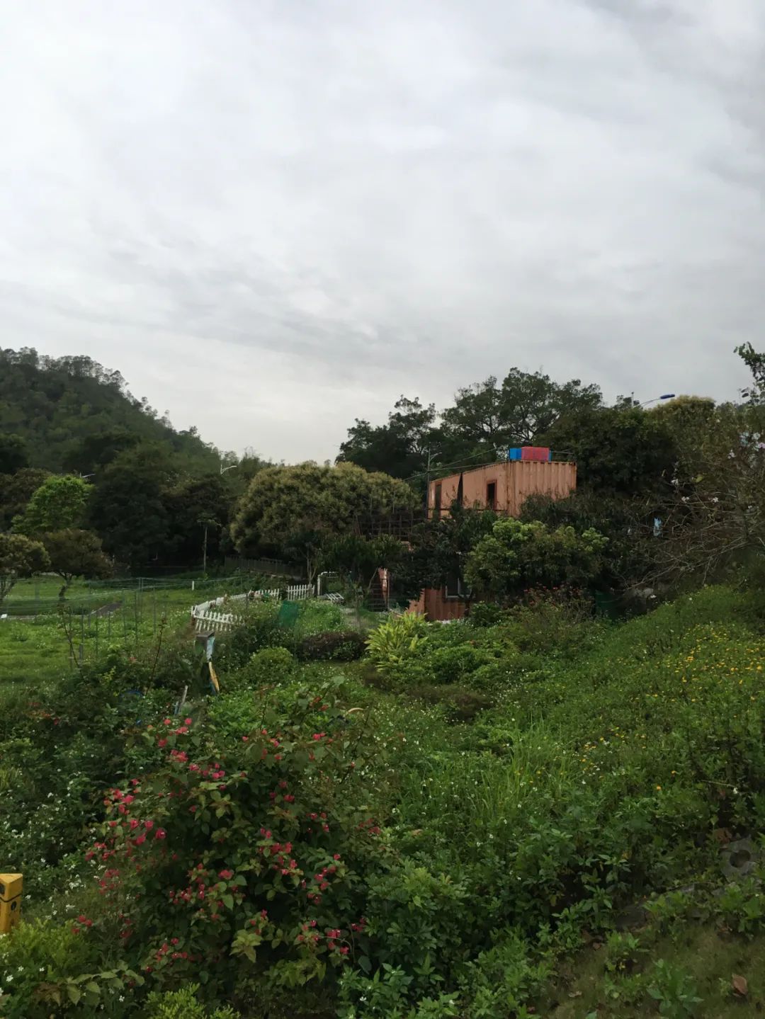 旭光车行雅迪电动车,旭光单车