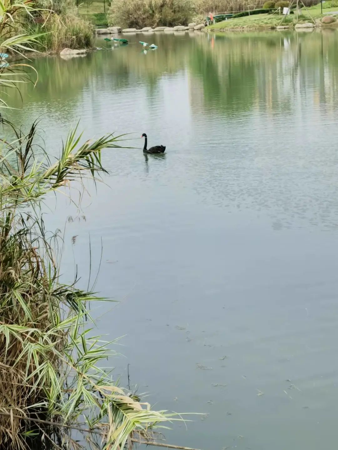 洞子口往事 (陈氏凉粉洞子口)