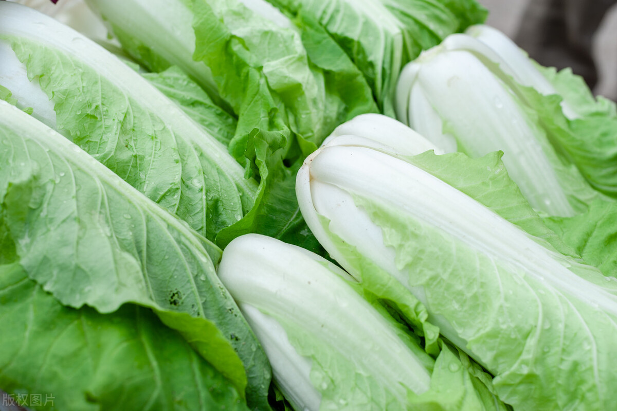 油烟机里的白菜叶,油烟机打扫小技巧