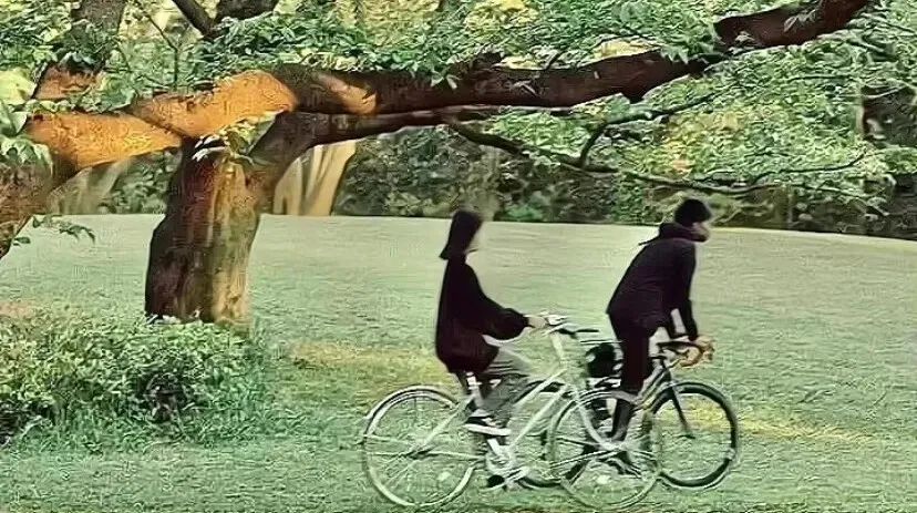 日光倾城独念友人的句子,日光倾城独念友人出自哪里