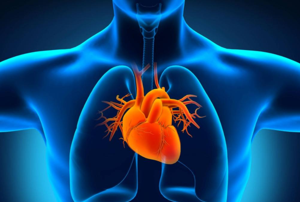 心血管狭窄50严重吗还能跑步吗,心血管狭窄50%严重吗
