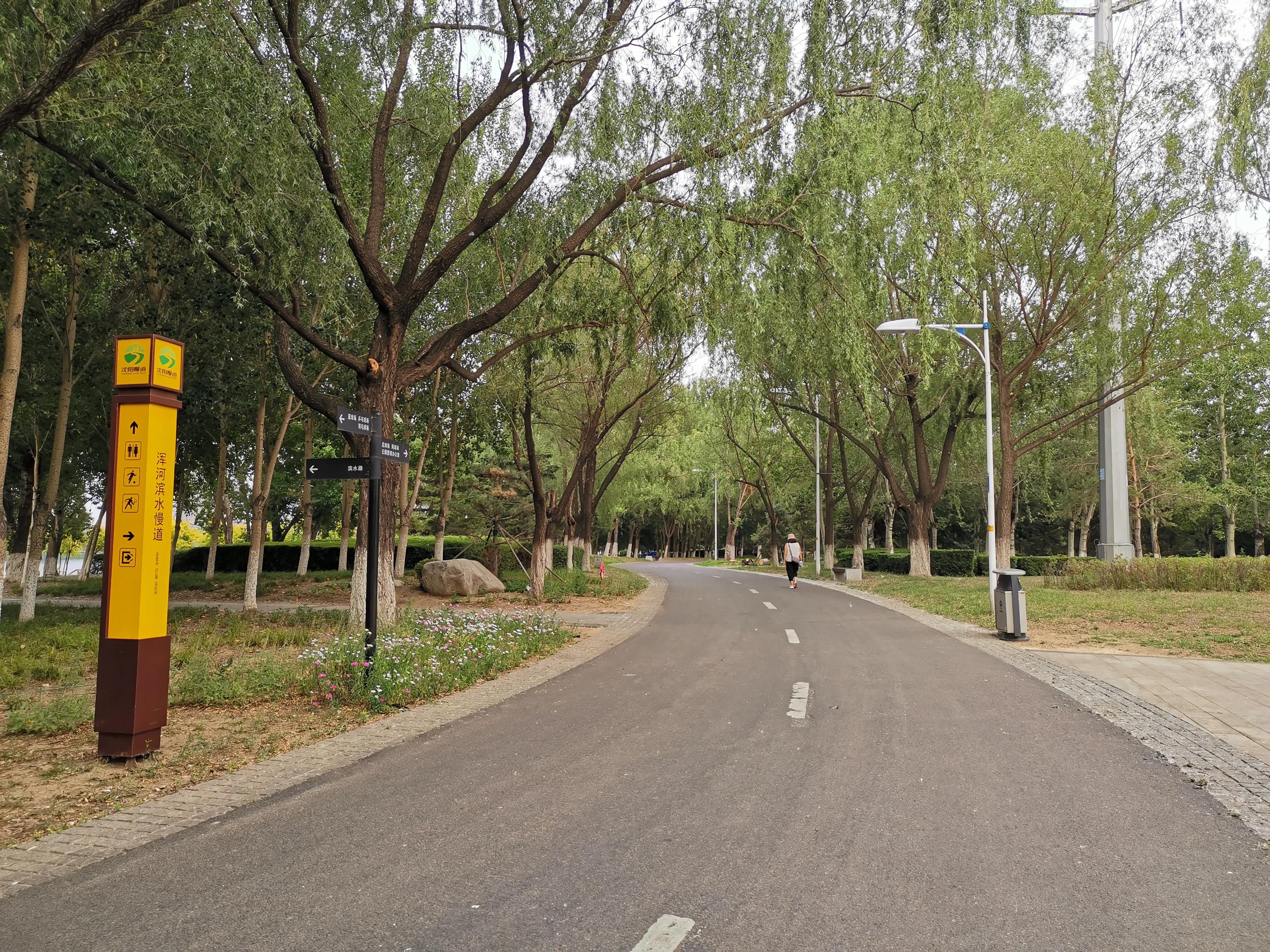 沈阳奥林匹克生态公园划船,浑南滨河公园