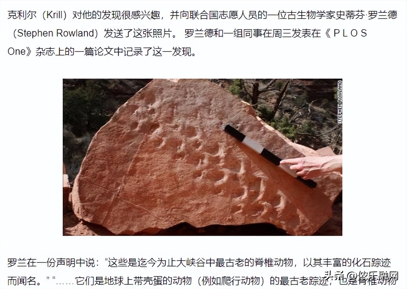 深色基质的都是碳质球粒陨石吗,红色基质黑色球粒是什么陨石