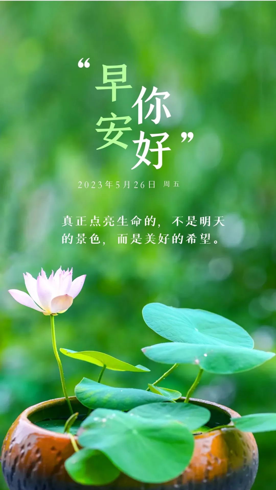 早安心语正能量语录简短句子图片,2020.12.9早安心语正能量走心语录