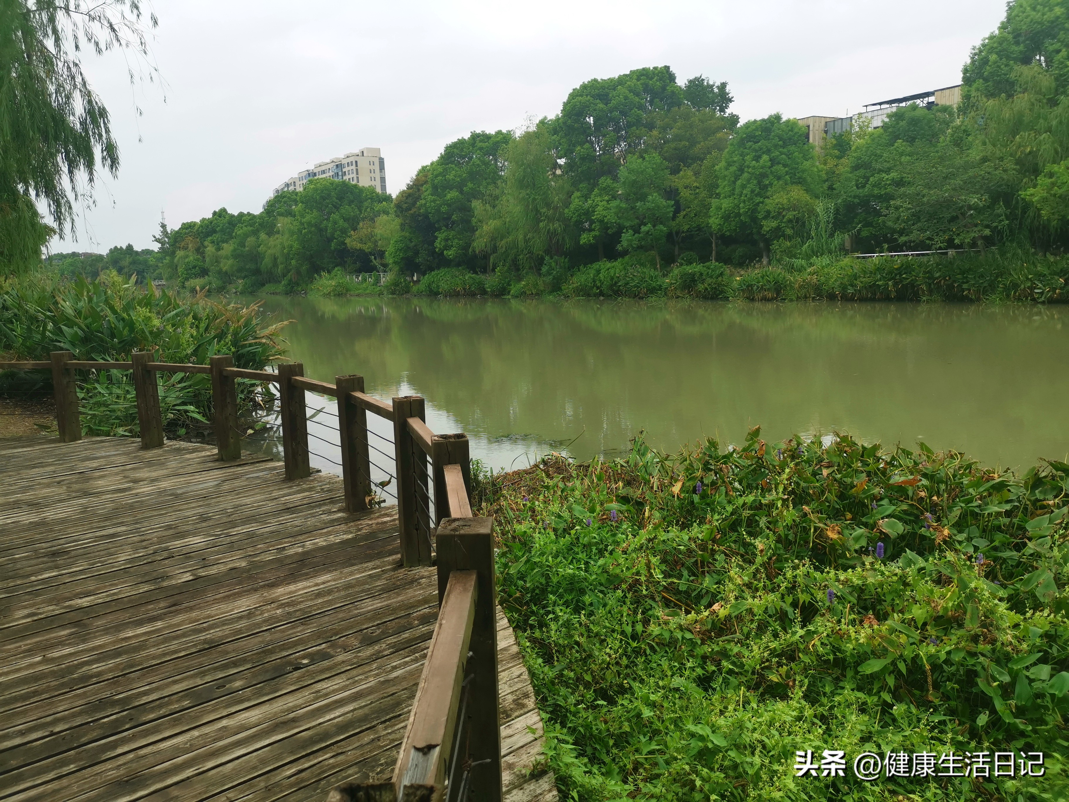 上海三林的公园,上海浦东三林公园在哪里