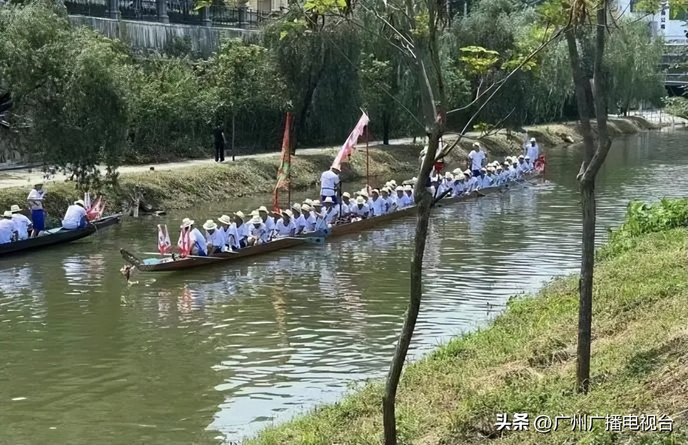 广州多区“睇龙船”超全指南,广东“睇龙船”指南来了