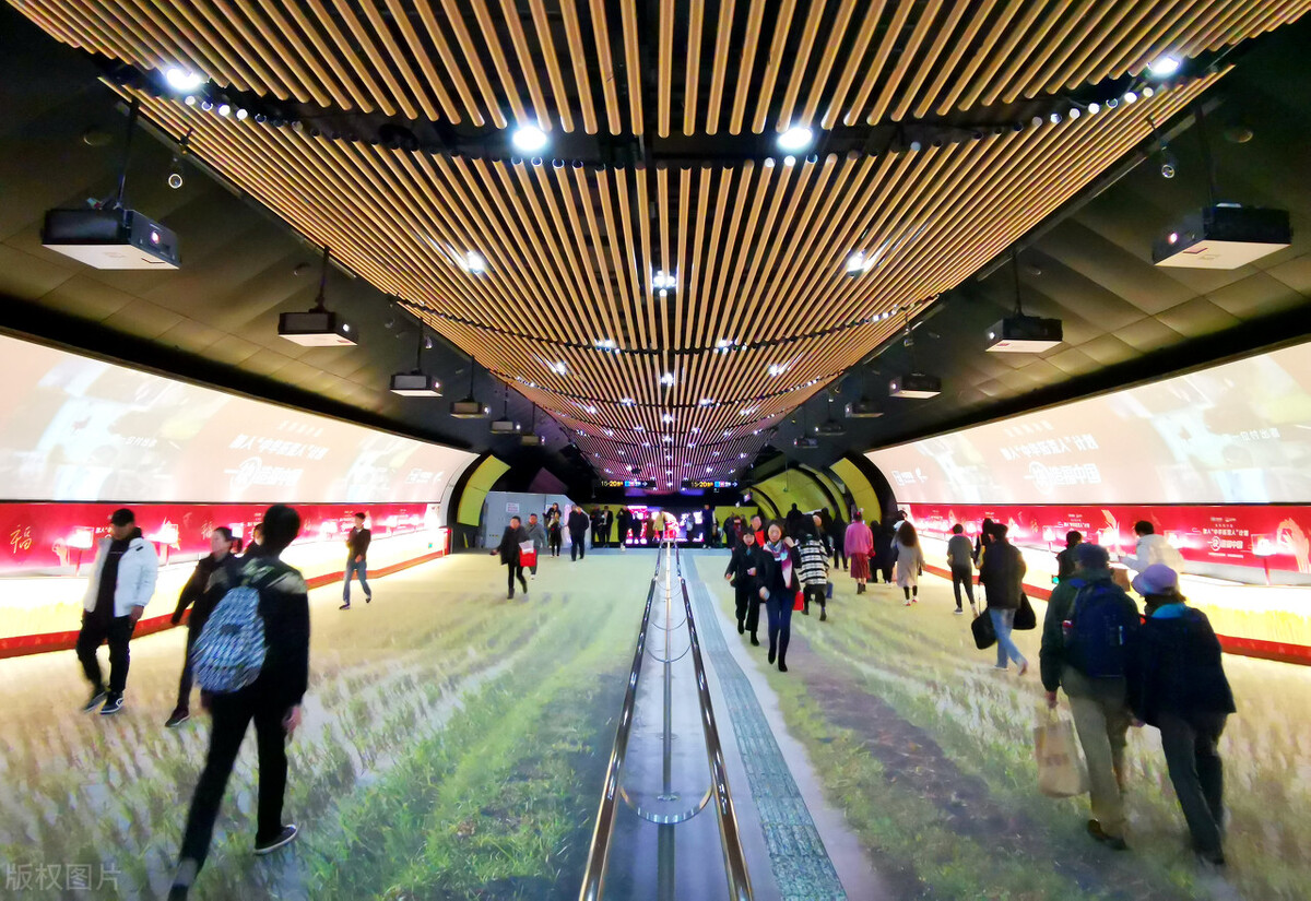 重庆城区常住人口城市排名,成都流入人口和重庆流入人口对比