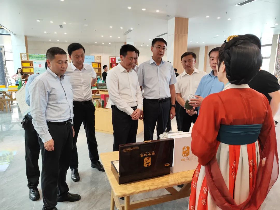 西乡县茶叶镇樱桃采摘,陕西汉中哪里可以摘樱桃