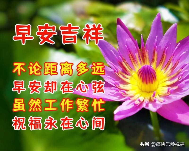 10月19日早上好温馨问候语,9月8日早上好温馨问候语