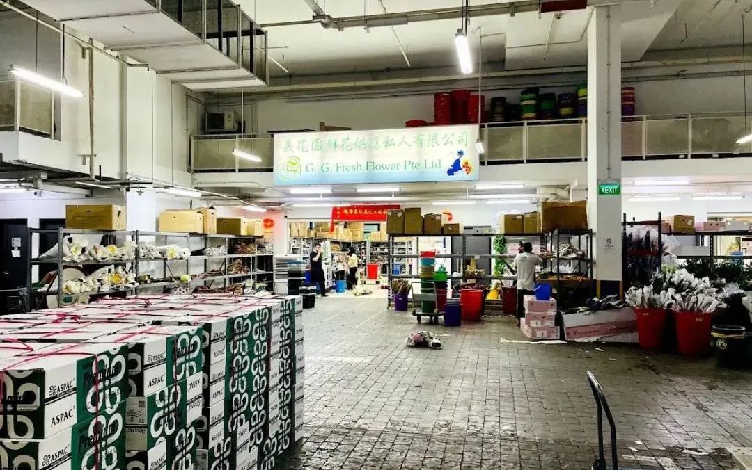 新手必看鲜花养护攻略,鲜花在水里能养几天会死