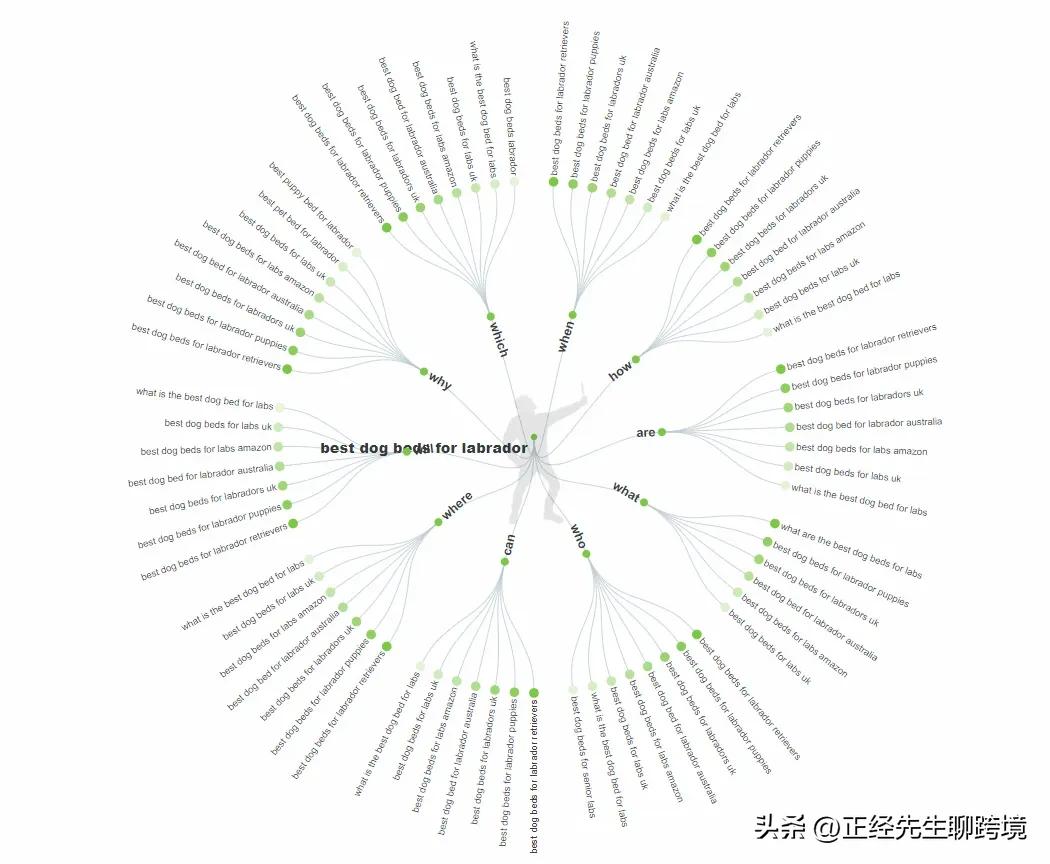 网站如何快速增加流量,快速提高网站流量的秘诀