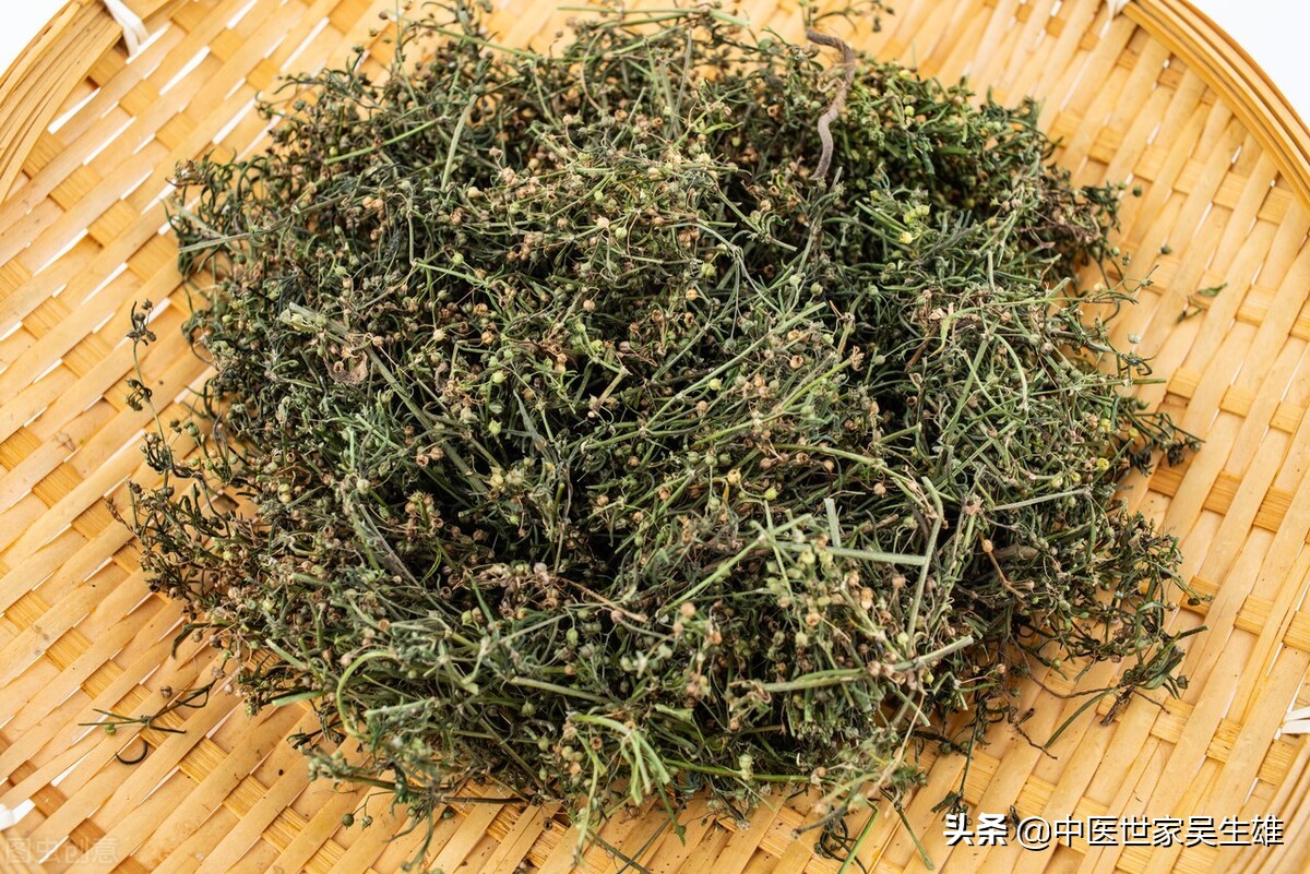 白花蛇舌草加半枝莲治什么病,白花蛇舌草治疗痤疮