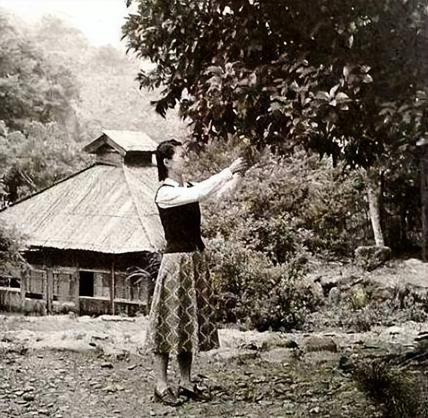 张学良和赵四小姐年轻真实照片,张学良与赵四小姐真实照片