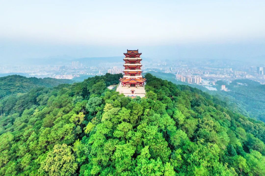 letsgo一周目图文攻略,letsgo图鉴攻略