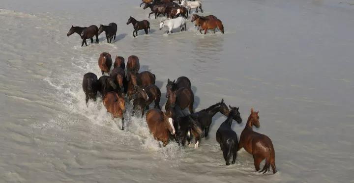 新疆夏塔古道旅游攻略,中哈陆路边境