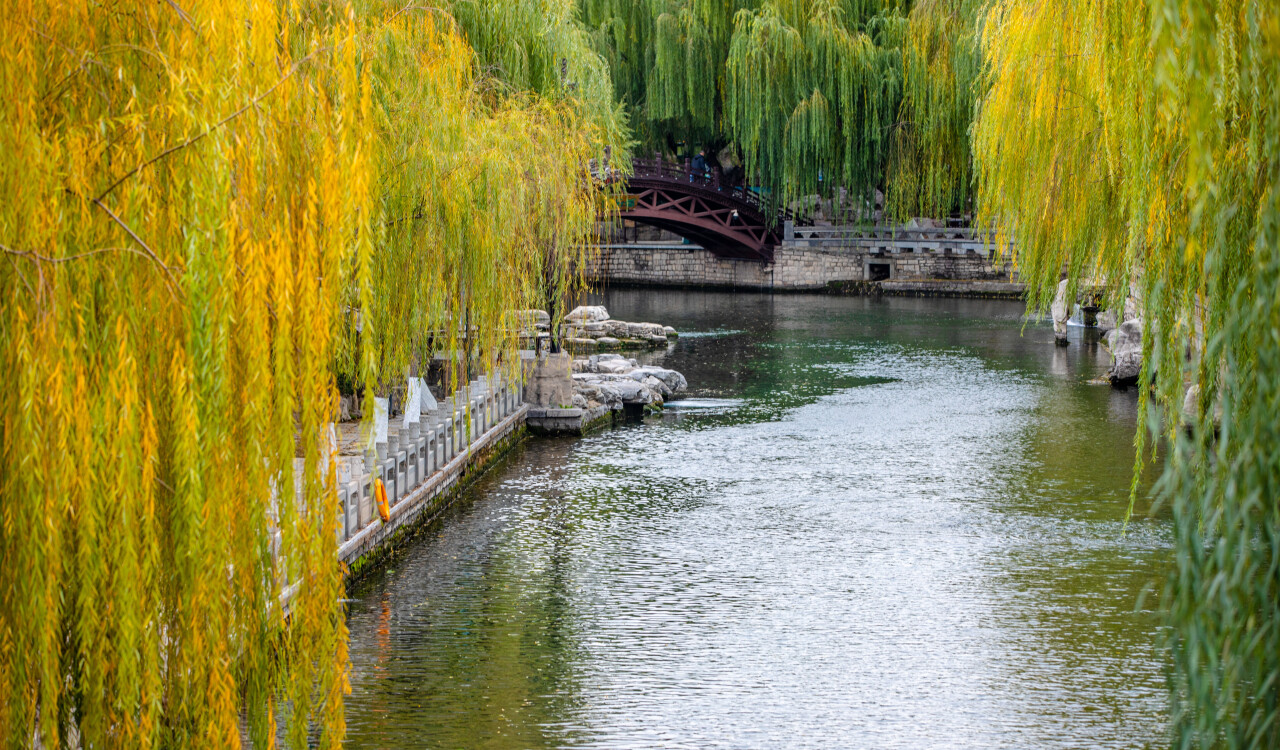 沉浸式体验秦淮河,济南大明湖游船攻略