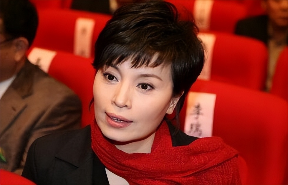 央视主播李瑞英退休后的生活,央视名嘴李瑞英现状