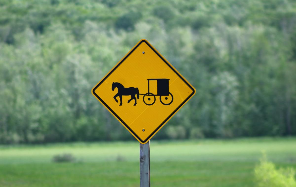 如何预防癌症的抗癌小方法,癌症抗癌成功的秘诀