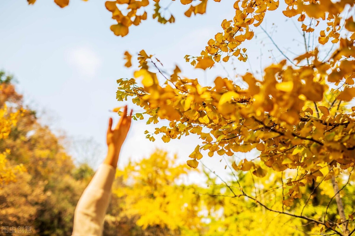 成功人士个性签名句子,个性签名句子短句励志