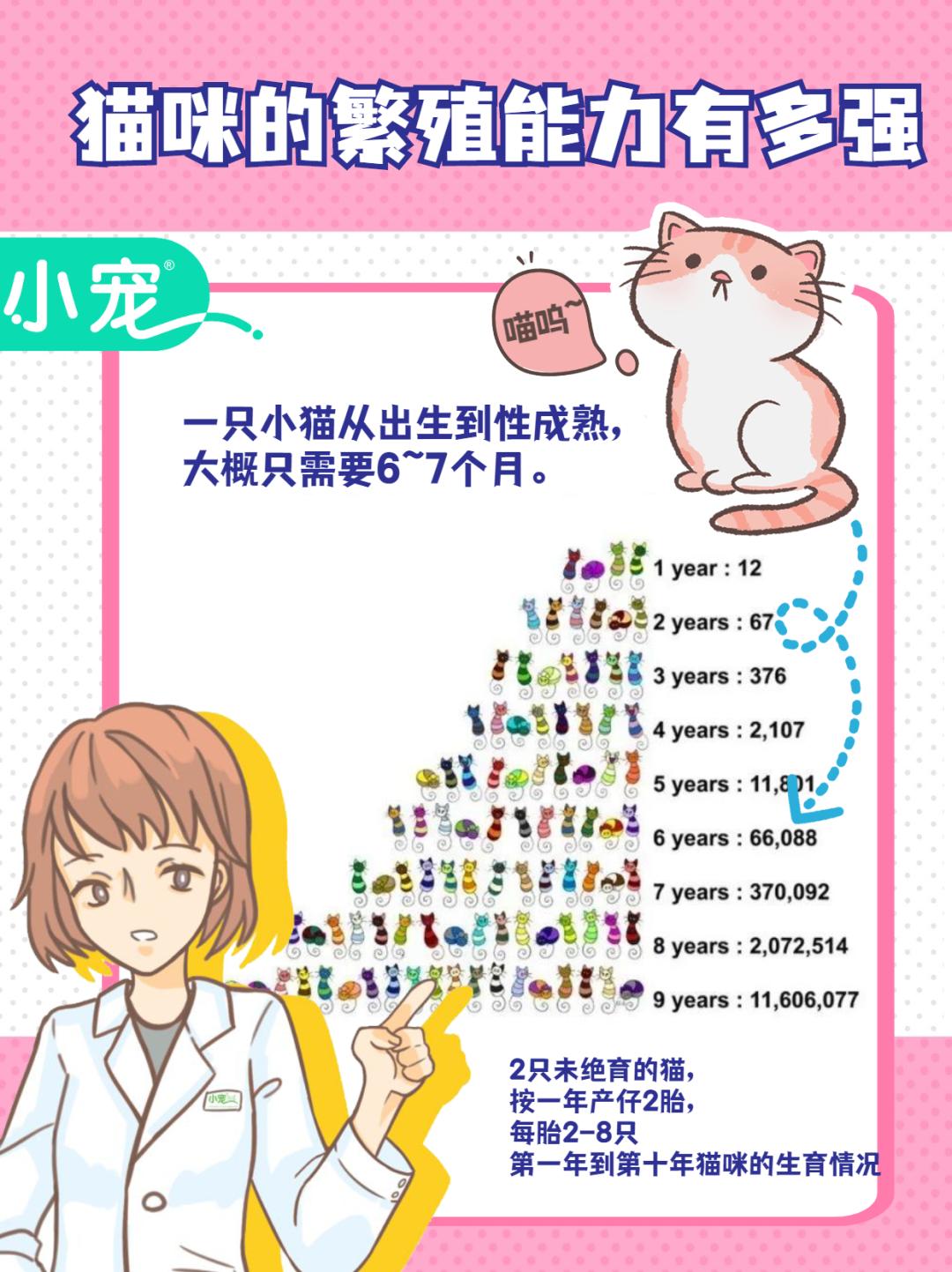 新手常见的害猫行为,看似爱猫实测害猫的五个行为