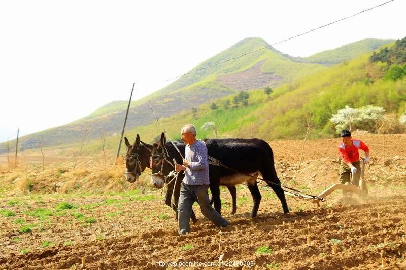 五律初冬雨,二十四节气谷雨五律