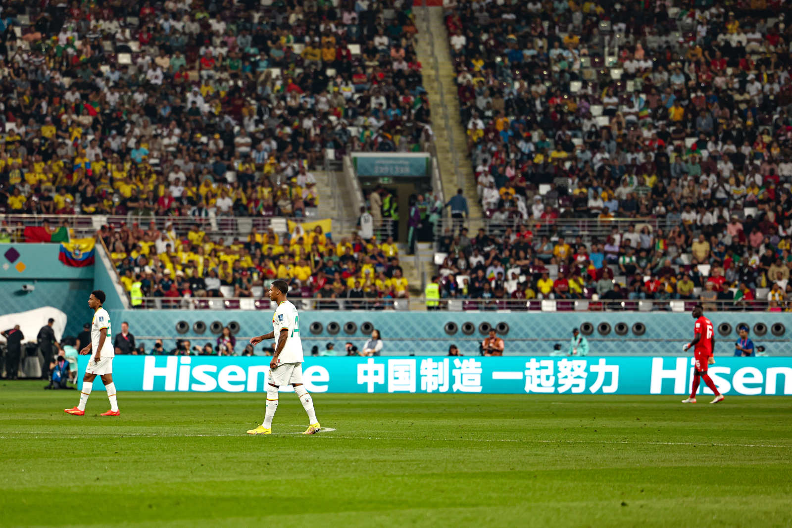 世界杯最新积分榜：英美携手出线，伊朗痛失好局，英法对决在酝酿