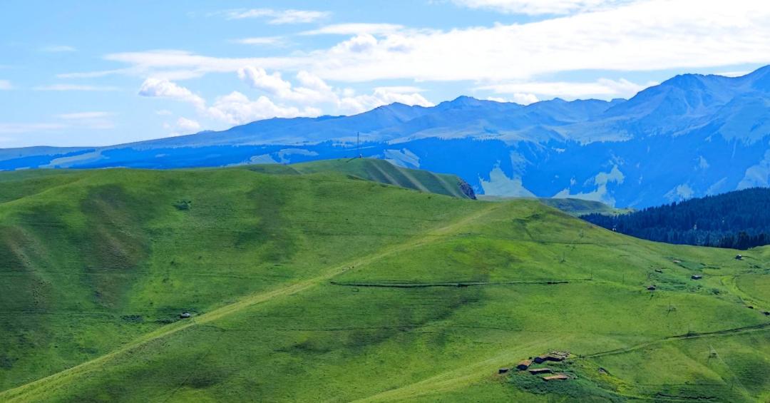 南航随心飞每年都可以买吗,南航新款随心飞
