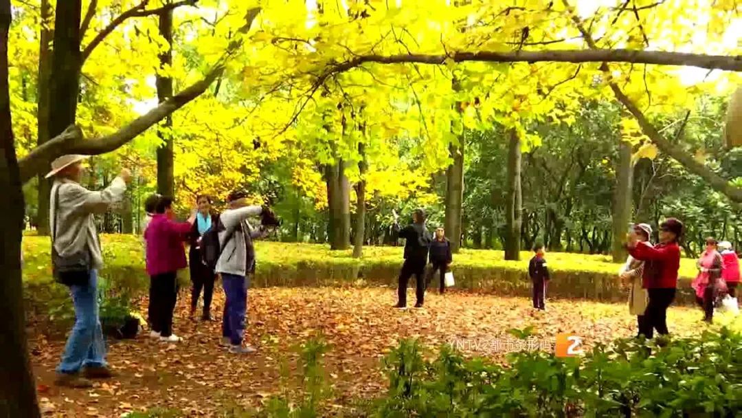 秋天的云南哪里漂亮又美丽,有一种美叫云南的秋天美景