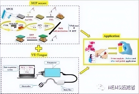 基于电位计的生物传感器进行生物标志物检测的研究进展（下篇）