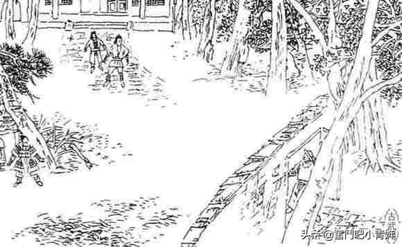 《射雕英雄传》之骑鲨遨游