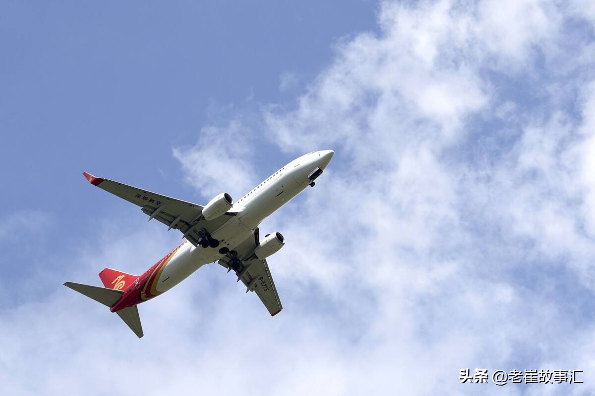 深扒唐山打人者陈继志！一场赌博骗80万，却资产遍地周游全国？