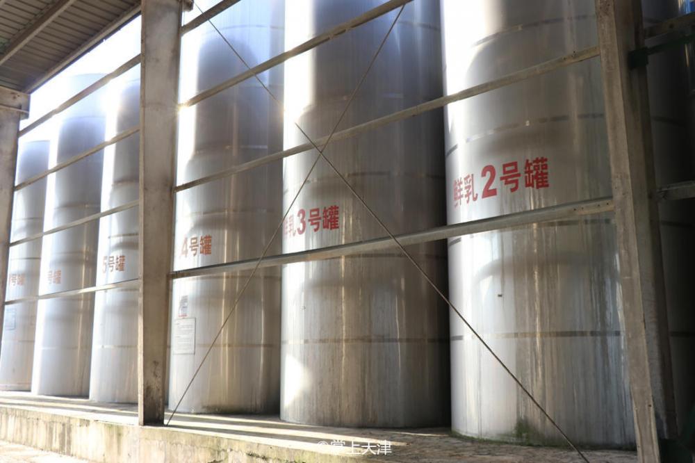 64年的海河牛奶，凭什么让人“踏实”？