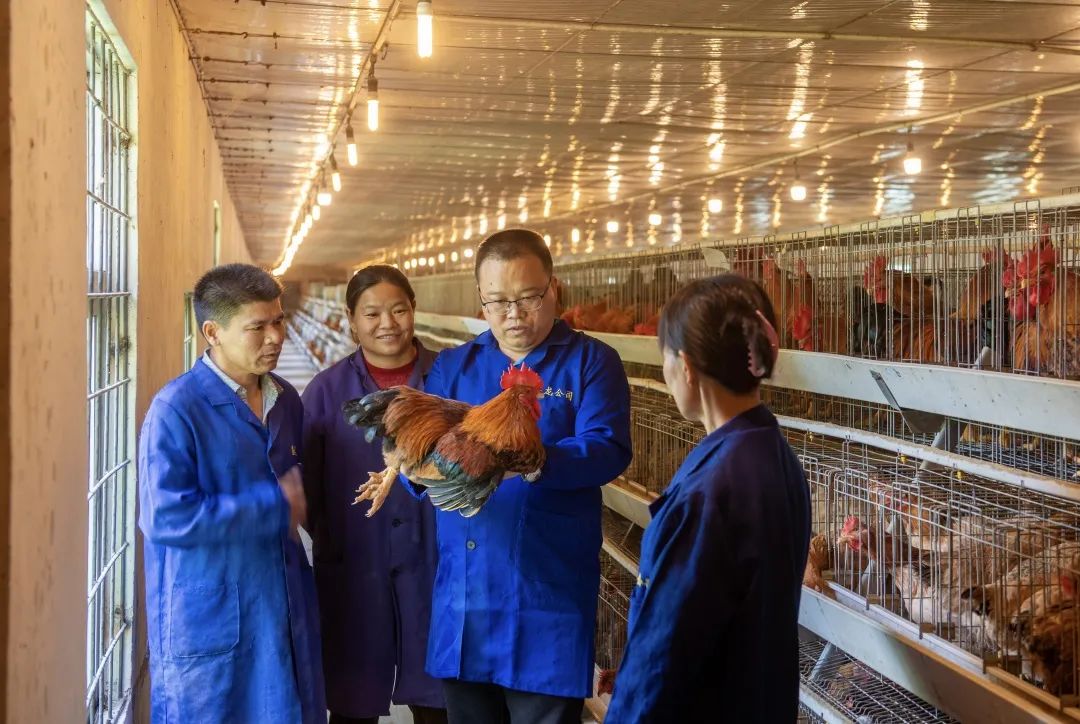 劳动工人最美,劳动最美工人