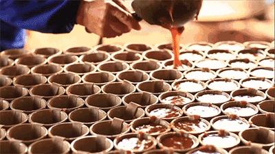 这个小县城藏了无数神仙美食,温州这座被低估的美食之城