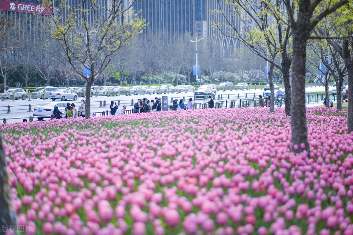 给过世父亲手机发短信,爸爸去世了给之前的手机号发短信