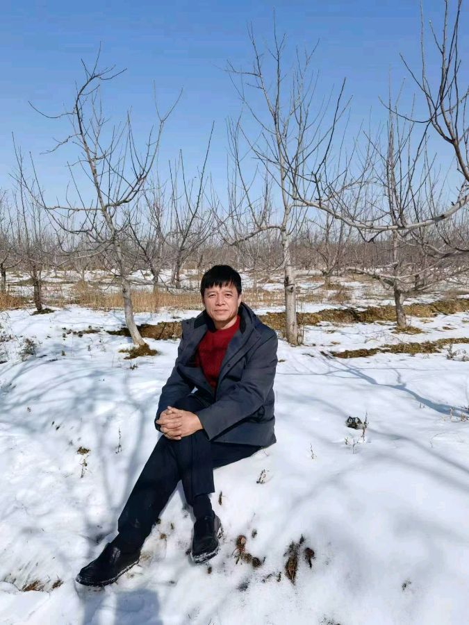 【作家有约】刘林海散文《那一片香飘蜂舞的槐树林》