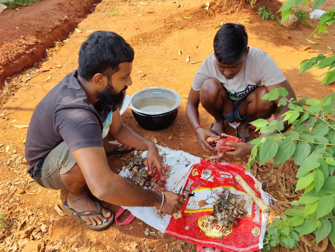 集中营六记,集中营逃亡7年