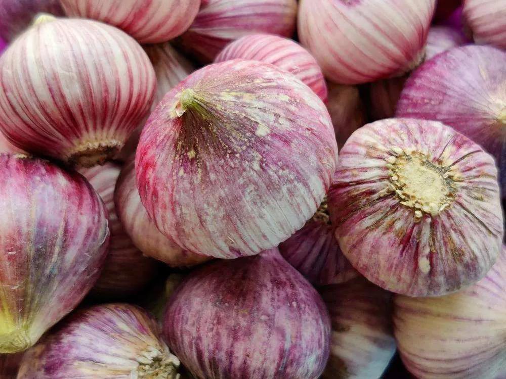 中国国家地理标志怎么申请,中国国家地理标志标识