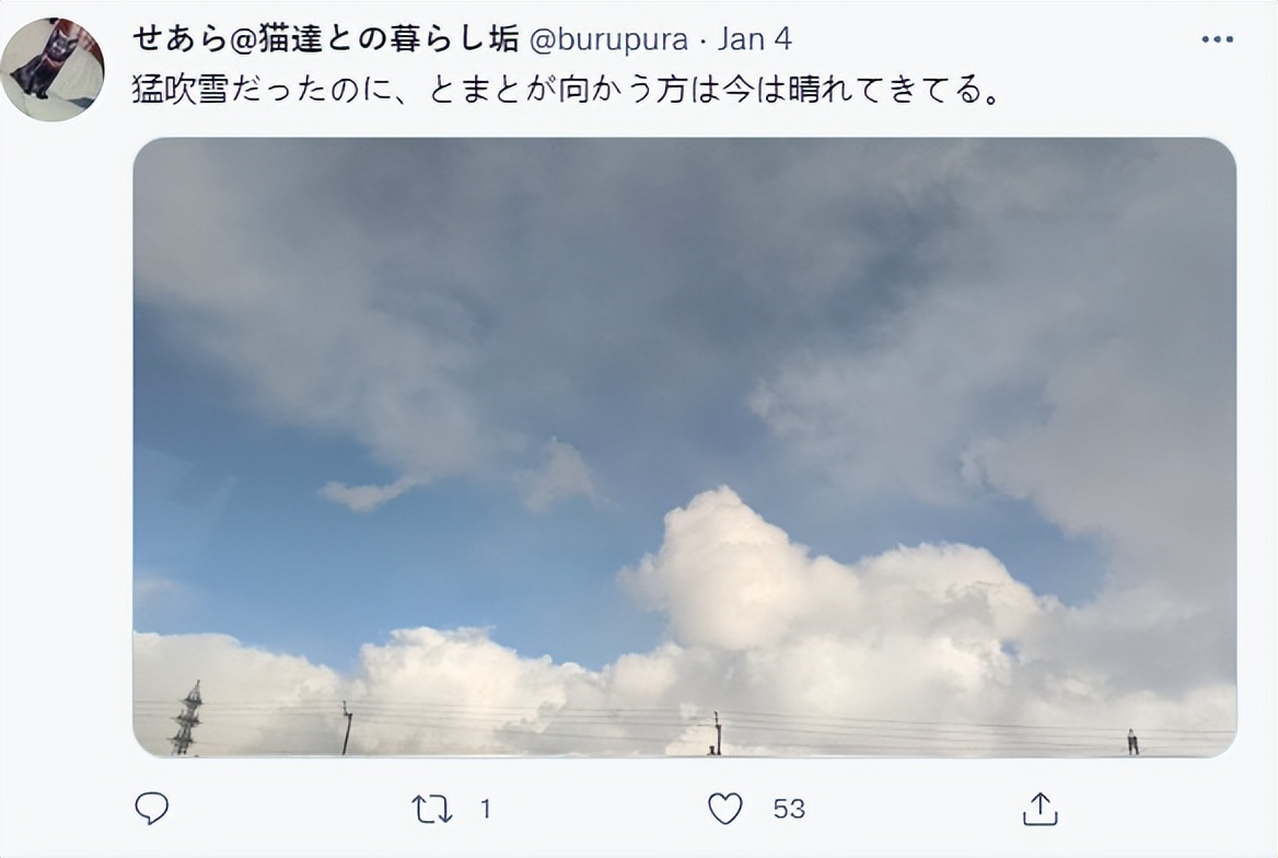 最长寿猫咪死亡,世界上最长寿的猫咪去世