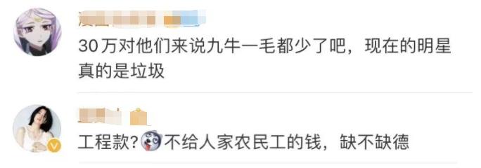 娱乐圈老赖是谁,最牛的明星老赖